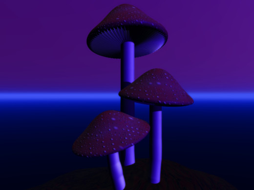 40229 (a): :1600x1200